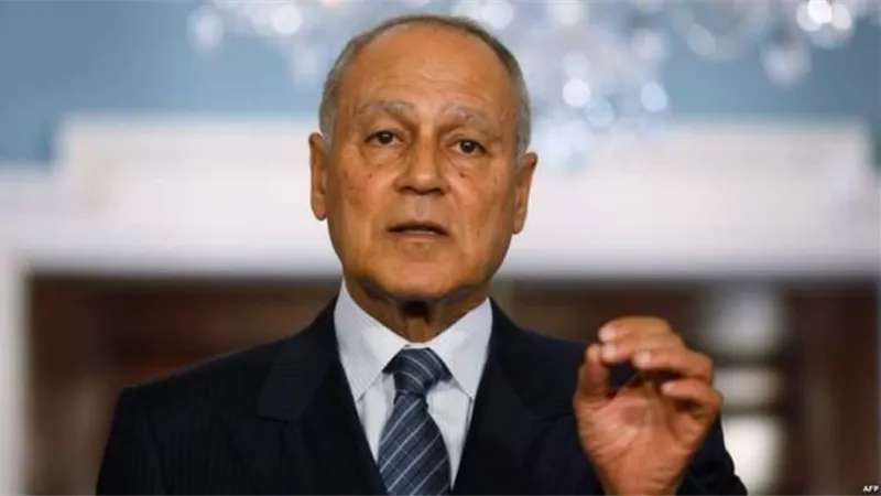 أبو الغيط يشيد بالاتفاق الروسي الأوكراني بشأن تصدير الحبوب