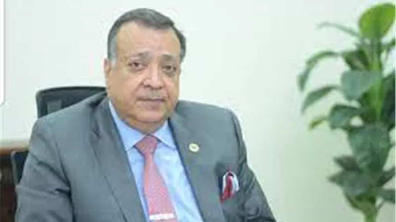 سعد الدين : امامنا فرصة جوهرية لتعظيم الإستفادة من الغاز