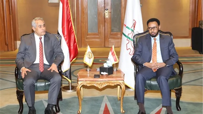 شحاتة: حريصون على تقديم الدعم للشركاء الاجتماعيين في قارة أفريقيا