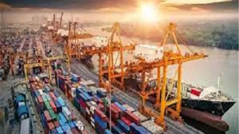 رئيس الجمارك : الإفراج عن كميات كبيرة من البضائع خلال الإسبوع المقبل