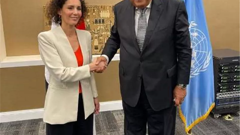 شكري يلتقي نظيرته البلجيكية خلال زيارته لنيويورك
