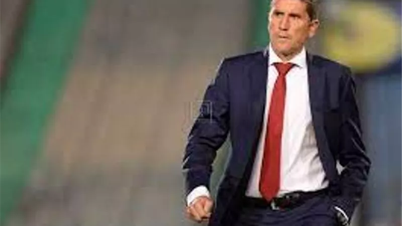 رئيس الاسماعيلى: نجم الاهلى السابق السبب فى التعاقد مع جاريدو