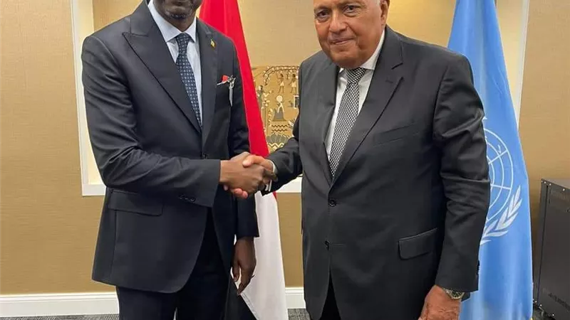 وزير الخارجية يؤكد لنظيره دعم مصر لجهود إحلال السلام فى مالى