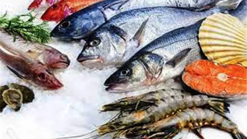 الأسماك والمأكولات البحرية..هل تجب فيها الزكاة؟