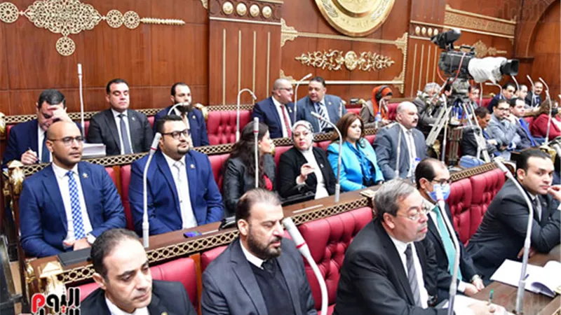 نائبات مجلسى النواب والشيوخ يتأهبن لحملة ضد الحوم لخفض الاسعار