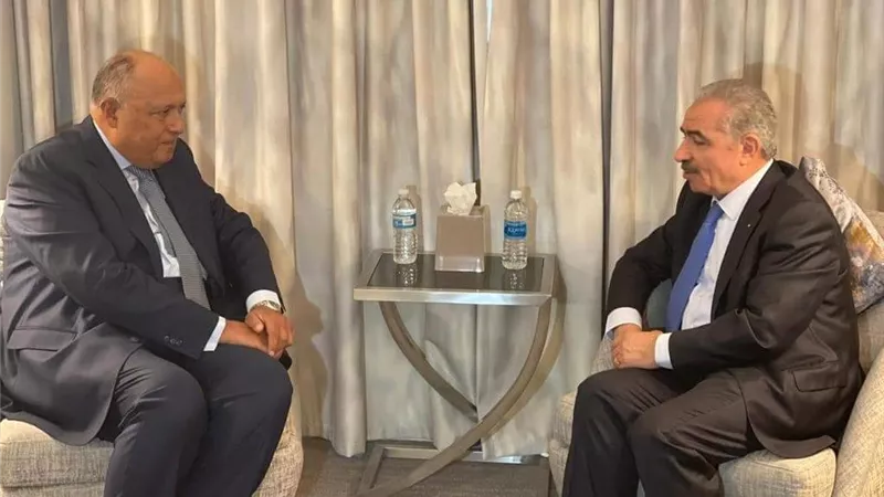 وزير الخارجية يلتقي أشتية ويؤكد جهود مصر الداعمة للقضية الفلسطينية