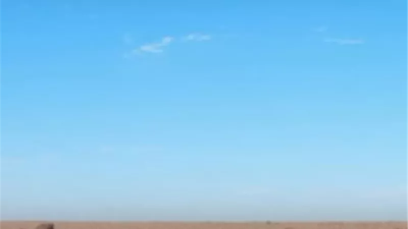 بالفيديو.. شيء يسقط من السماء في المغرب والجزائر وثمن الجرام منه ألف دولار