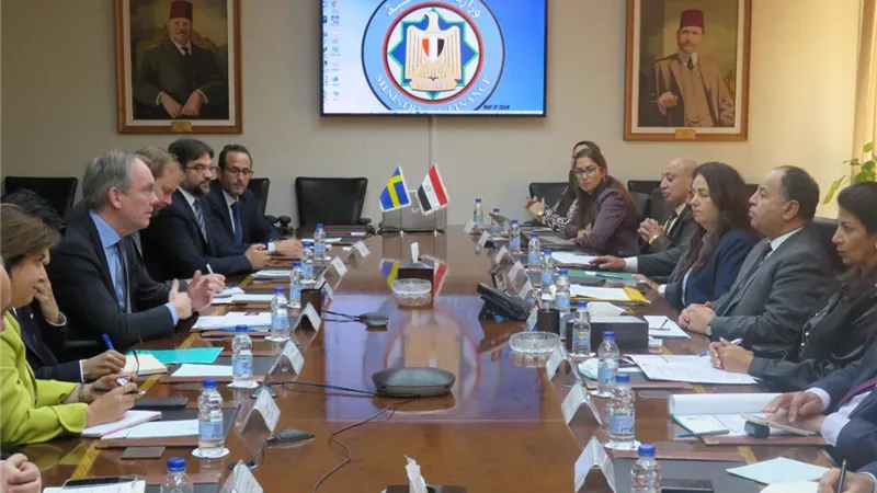 وزير المالية لسفير السويد: قادرون على تجاوز التحديات العالمية الراهنة