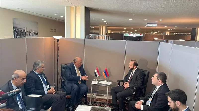 وزير الخارجية يناقش مع نظيره الأرميني تطوير العلاقات الثنائية