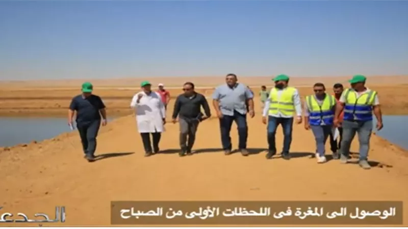 فيديو.. نجاح أول تجربة لإنتاج الجمبرى من الصحراء المصرية