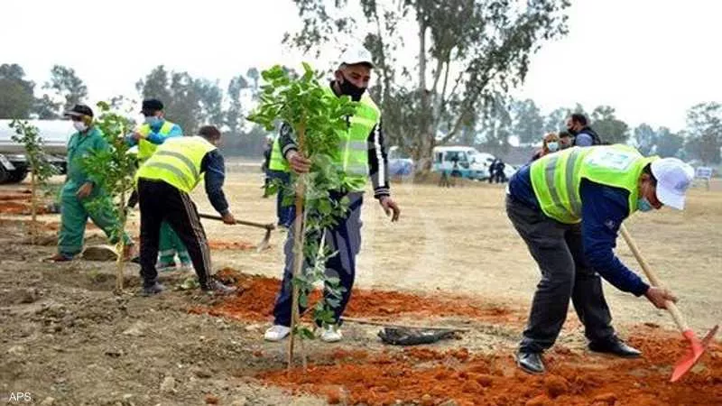 محافظ أسيوط : حملات نظافة وتشجير مكثفة بحى غرب وشرق وقرى مراكز