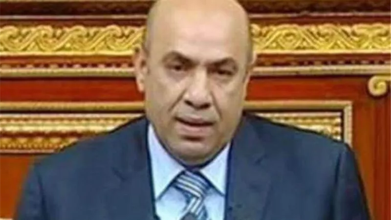 برلماني: قانون المحليات سيتصدر اجندة البرلمان خلال الانعقاد الثالث