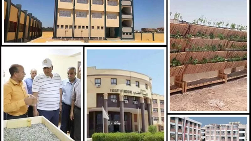 زراعة أسطح المدارس بالزهور .. وتعميم الحرير الطبيعي لتثقيف الطلاب