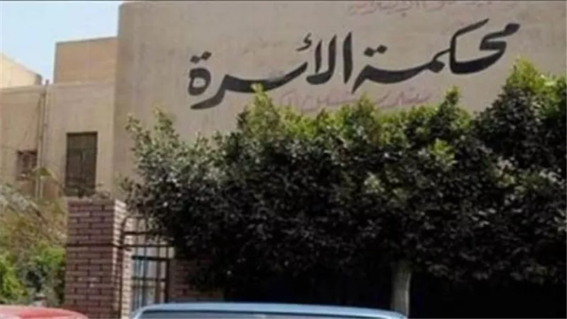 زوجة أمام محكمة الأسرة: زوجي بعد اعتراضي على خيانته ابتزني بطفلتي