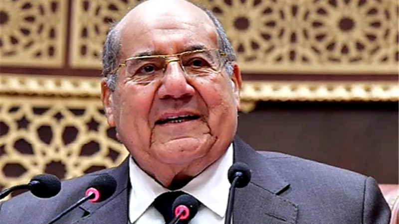 المستشار عبدالوهاب عبدالرازق يتوجه إلى مجلس الشيوخ الفرنسي