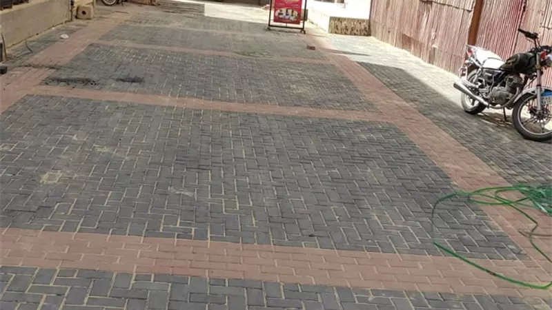 بدء رصف المناطق الغير مخططة بدمياط ببلاطات الإنترلوك..صور