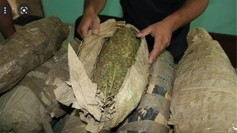 تخصص بانجو.. ضبط شخصين من تجار الصنف في القاهرة