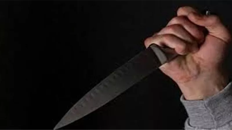 ميراث الدم في كفرالشيخ ..شاب يودع الحياة على يد شقيقه بطعنة في الصدر