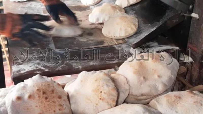 تحرير 106 محضر تمويني متنوع في الإسماعيلية