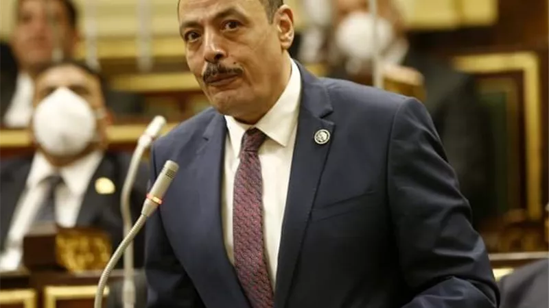 برلماني: الرئيس السيسي وضع روشتة لحل مشكلات الصناعة والاقتصاد في مصر