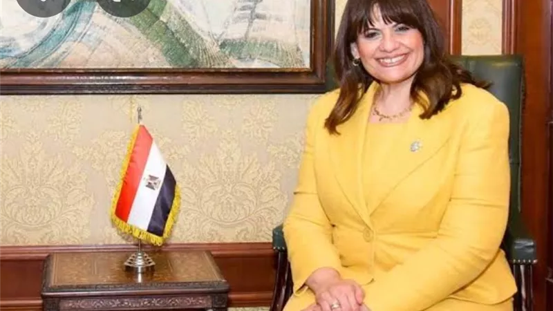 الهجرة: الشاب المصرى المريض فى موزمبيق يعود للقاهرة غدا