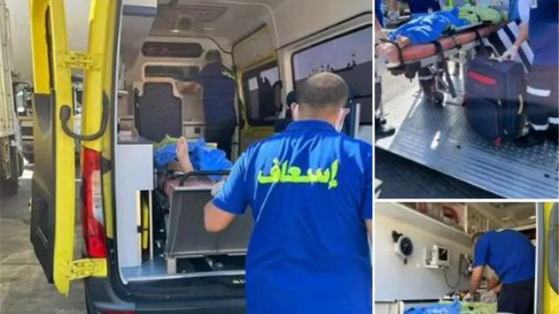 الهجرة: وصول الشاب المصري المريض في موزمبيق إلى أرض الوطن