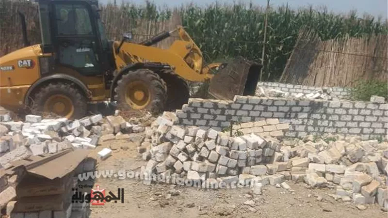 محافظ المنوفية : إزالة ( 219) تعدى على أملاك الدولة والأراضى الزراعية