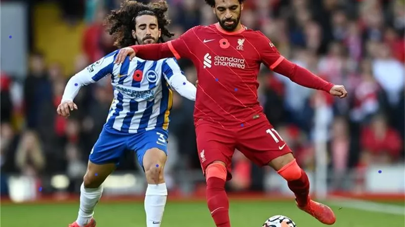 ليفربول و برايتون