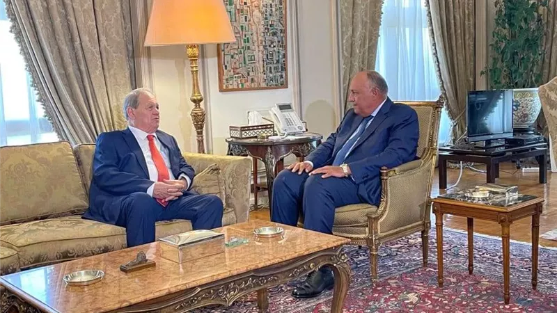 وزير الخارجية يستقبل رئيس المجلس الوطني الفلسطيني