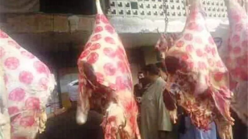 شوادر لحوم لحزب مستقبل وطن فى ببا