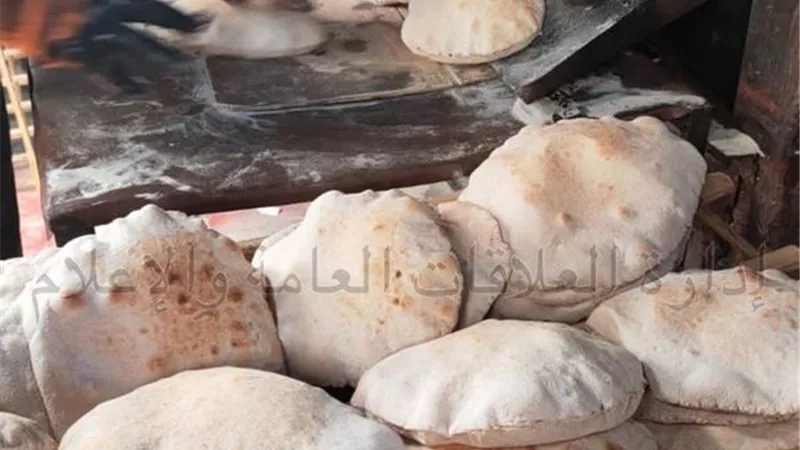 تحرير 63 محضرا تموينيا لمخابز و محلات الإسماعيلية