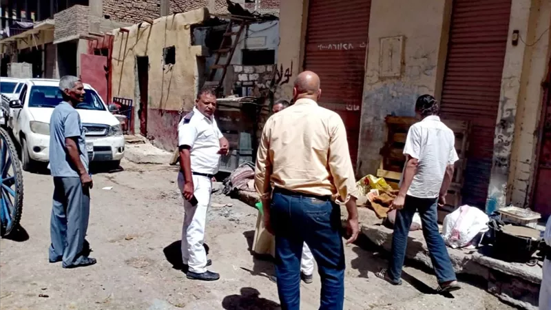 محاضر وخيول ومخلفات فى حملة بيئية بمدينة الأقصر