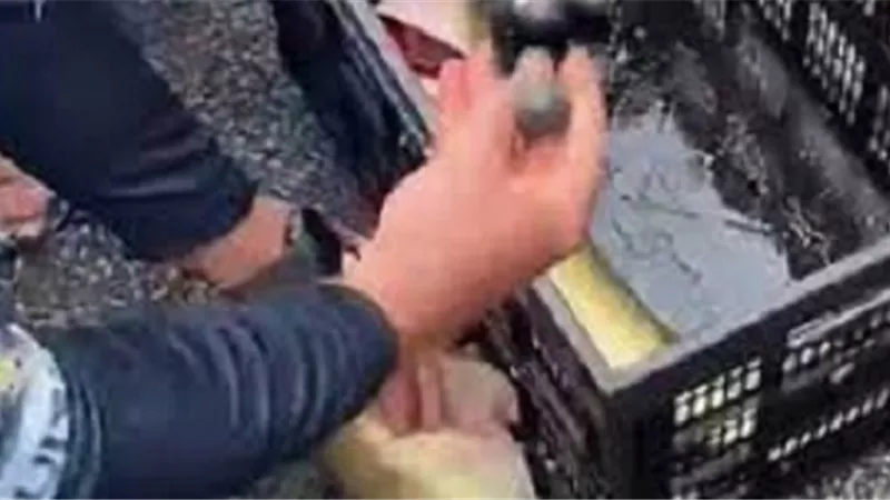 صيادان يفوزان بجائزة قيمتها 5 آلاف دولار ثم يتم سحبها..تعرف على السبب
