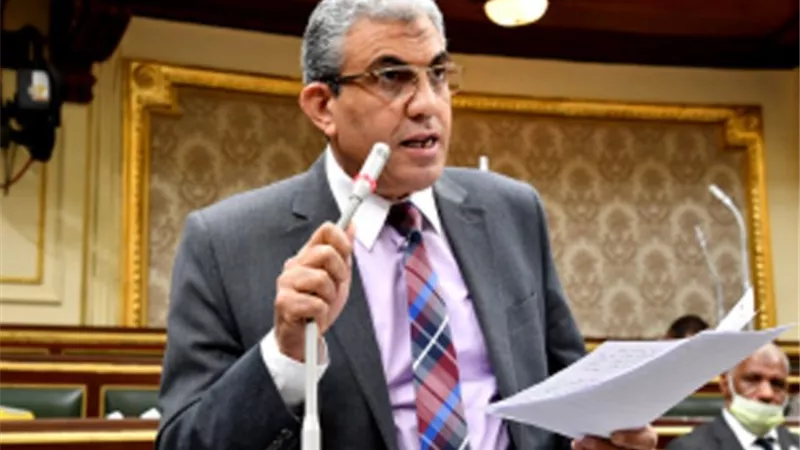 عادل عبدالفضيل رئيسا للجنة القوى العاملة بـ«النواب»