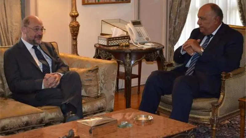وزير الخارجية يستقبل رئيس مؤسسة 