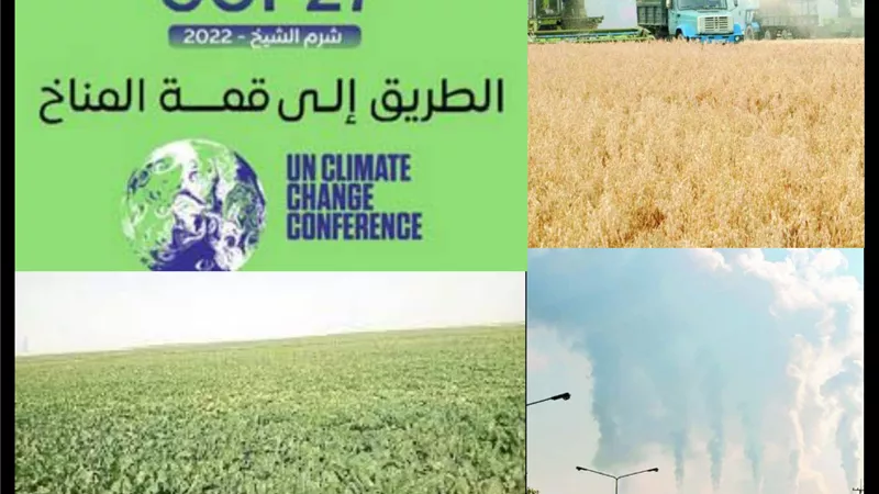 تداعيات الاحتباس الحراري على القطاع الزراعي.. محور رئيسي في قمة شرم