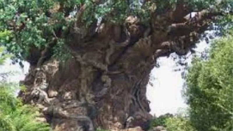 شجرة _وشجرت..رسمان مختلفان فى وصف زقوم العذاب فى الاخرة