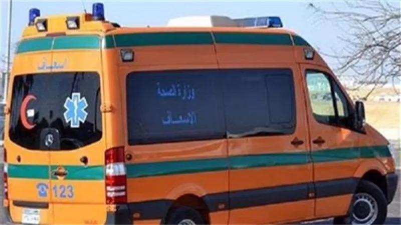 داخل سيارة.. مقتل 