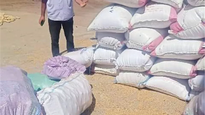 ضبط 17 طن أرز شعير قبل بيعه بالسوق السوداء بالزقازيق