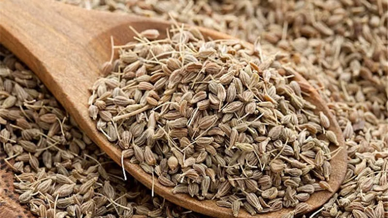 فوائد اليانسون على الريق.. تعرف عليها