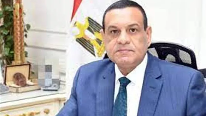 التنمية المحلية: