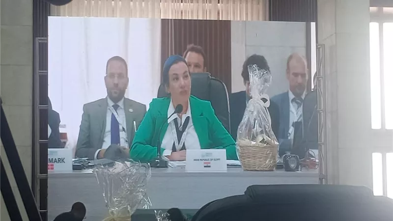 وزيرة البيئة تستعرض المبادرات العالمية التي ستطلقها مصر بمؤتمر المناخ