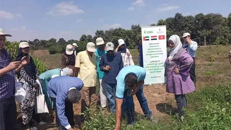 تدريب المرأة الريفية بالإسماعيلية على أمراض زراعات الخضر ..صور