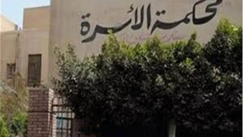 زوج لمحكمة الأسرة: زوجتى تركت أطفالى فى الشارع وأستضافهم حارس العقار