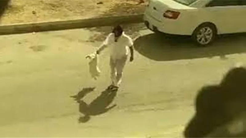 ضبط مدمن عذب كلبا حتى الموت في مدينة نصر. والمتهم: لا يستجيب لأوامرى