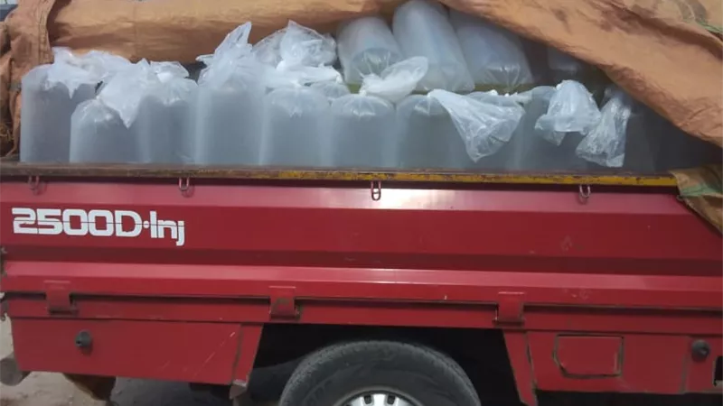 ضبط سيارة محملة بـ 380 ألف وحدة زريعة بكفر الشيخ