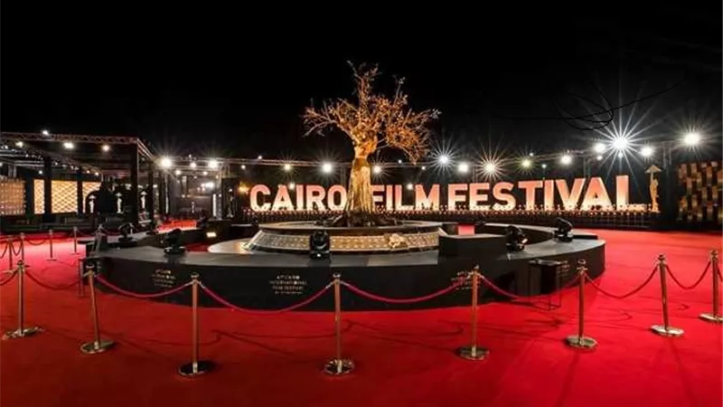 القاهرة السينمائي يكشف الأفلام المصرية المشاركة بالدورة الـ44