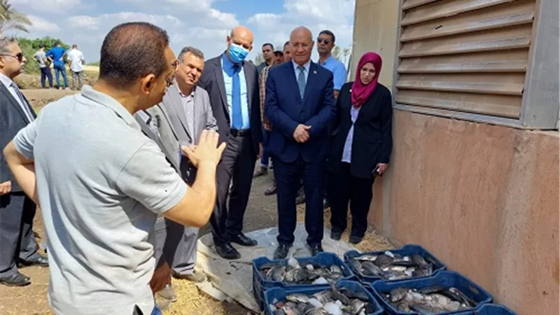 رئيس جامعة بنها يشهد افتتاح حصاد انتاج المزارع السمكية بكلية الزراعة