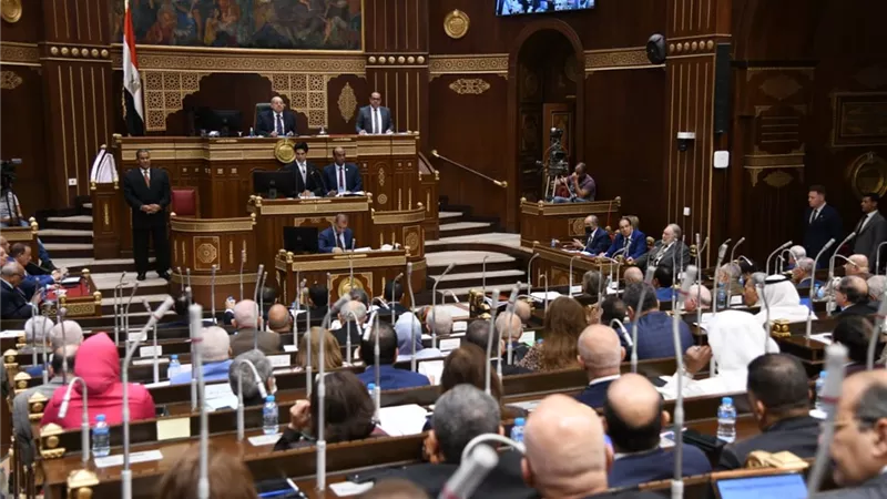 ننشر كلمة فيبي فوزى خلال مناقشة تعديل قانون البيئة