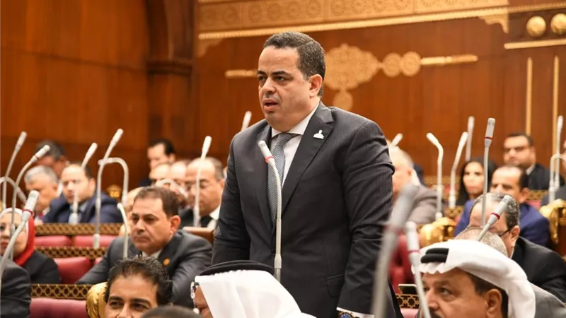 النائب عصام هلال يطالب بهيكل تشريعى واضح لـ